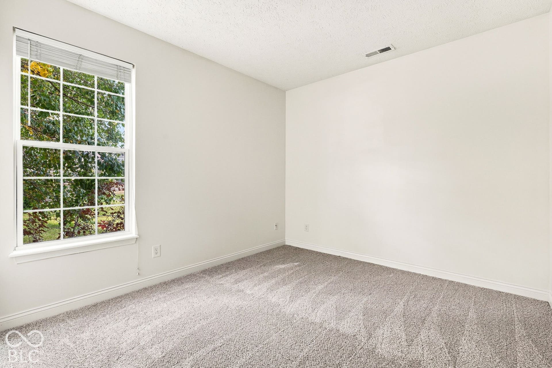 Wall-to-wall carpeting, white painted walls, and a multi-pane window with white blinds