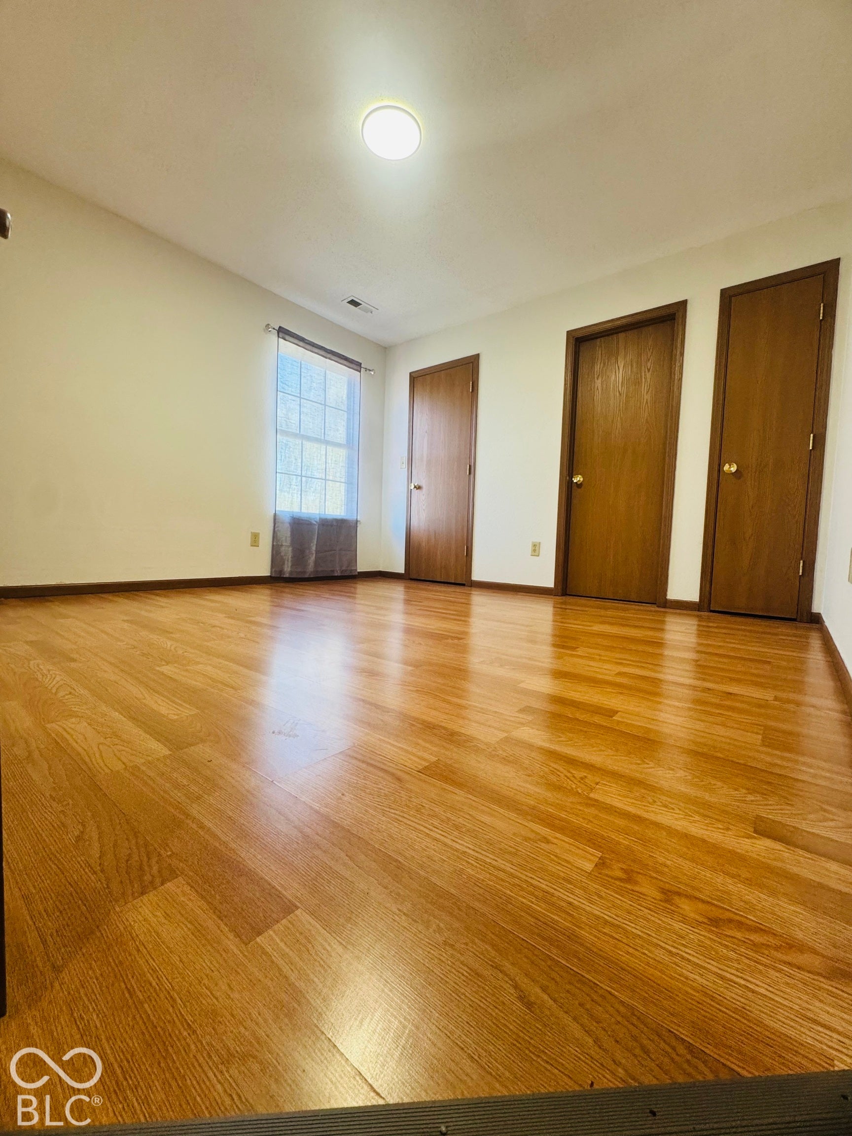 Wood-finish flooring throughout, multiple paneled doors, and a ceiling-mounted light fixture