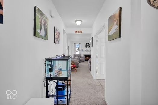 Carpeted hallway with white walls and overhead lighting