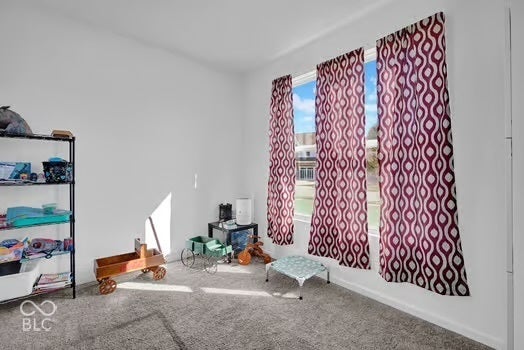 Room with carpet flooring and white painted walls