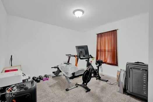 Carpeted room featuring a single window with curtain rods, white walls, and a ceiling-mounted light fixture