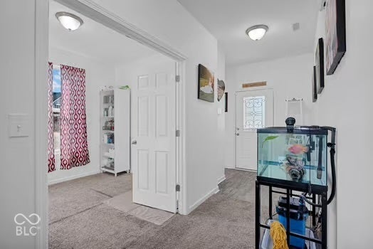 White interior walls with overhead flush-mount lighting, wood-finish flooring, and white interior doors