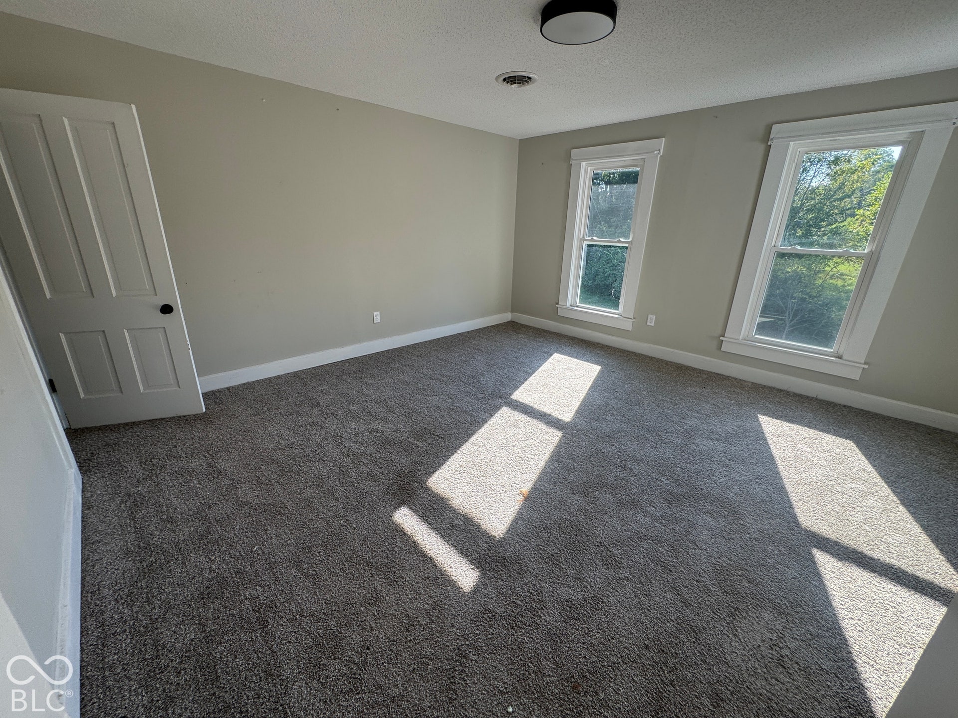 Carpeted flooring, neutral wall color, two windows with white trim, white panel door, and flush mount ceiling light