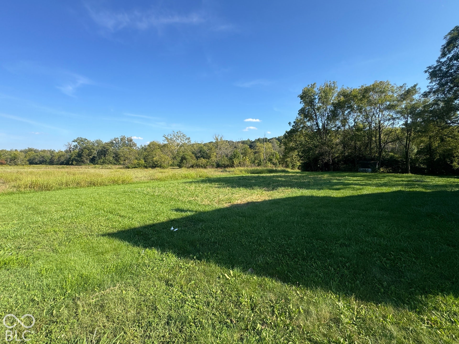 Expansive grassy field with mature trees bordering the property