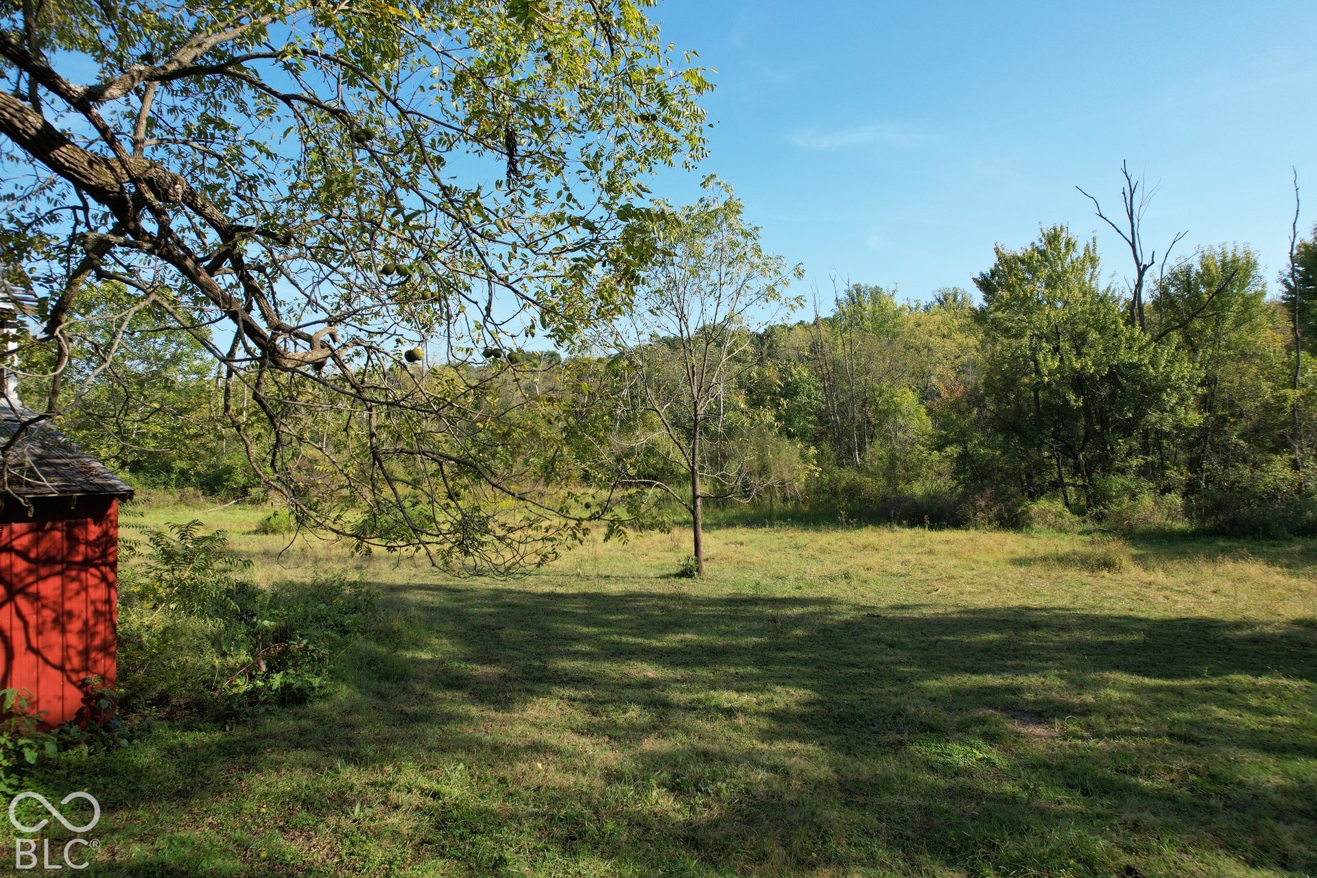 Expansive grassy area with mature foliage, a red shed with a dark roof, and a clear sky