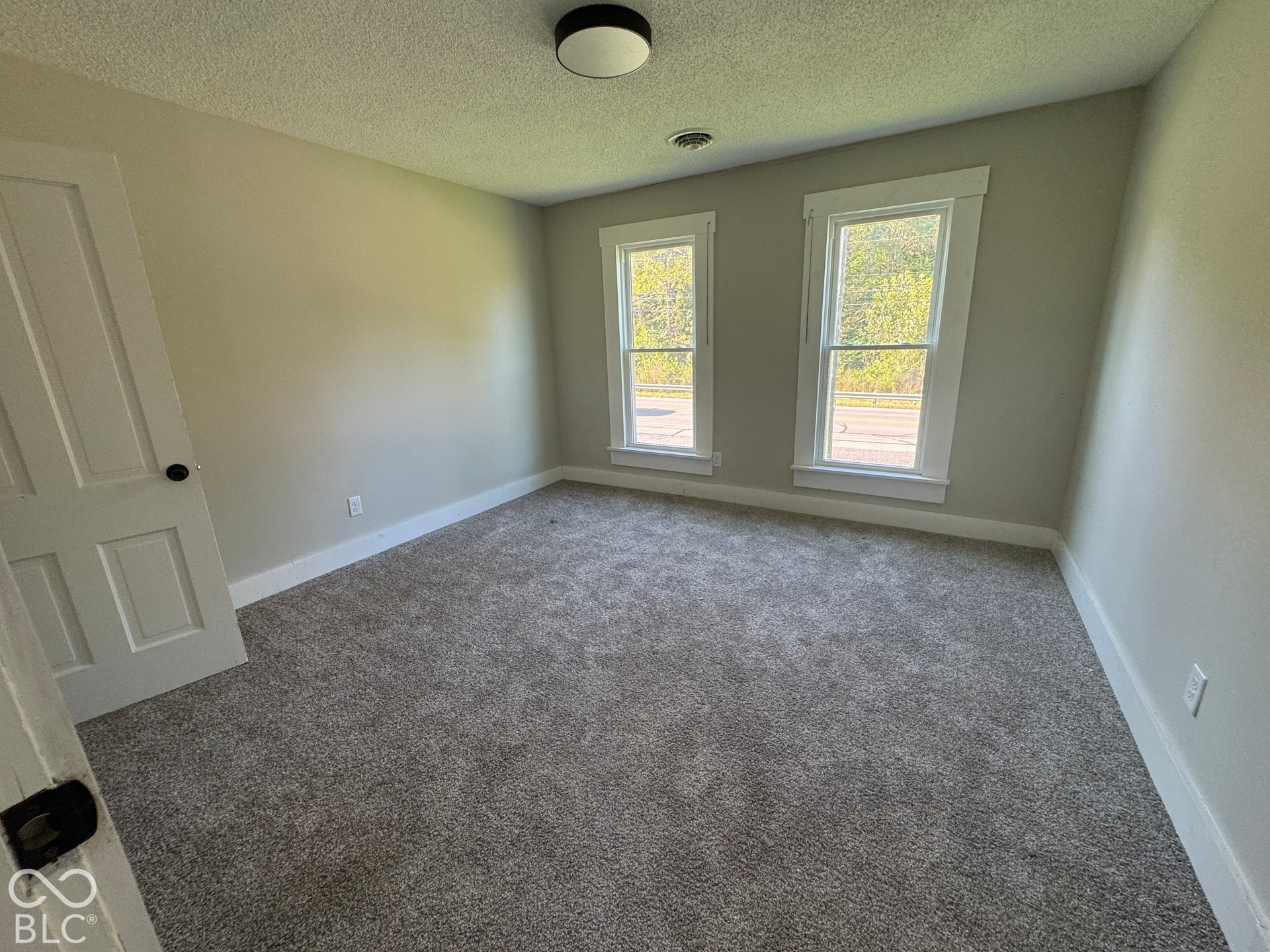 Carpeted flooring, two paneled windows with white trim, light gray wall paint, and a flush mount ceiling light
