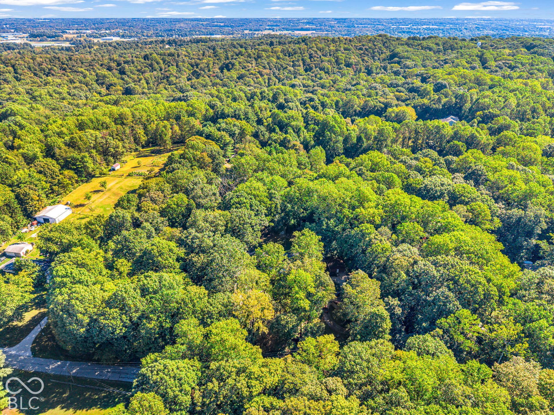 Expansive wooded landscape featuring mature trees