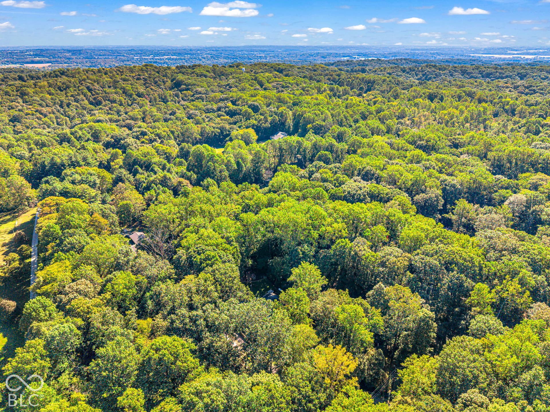 Expansive wooded acreage featuring diverse mature trees and a distant horizon