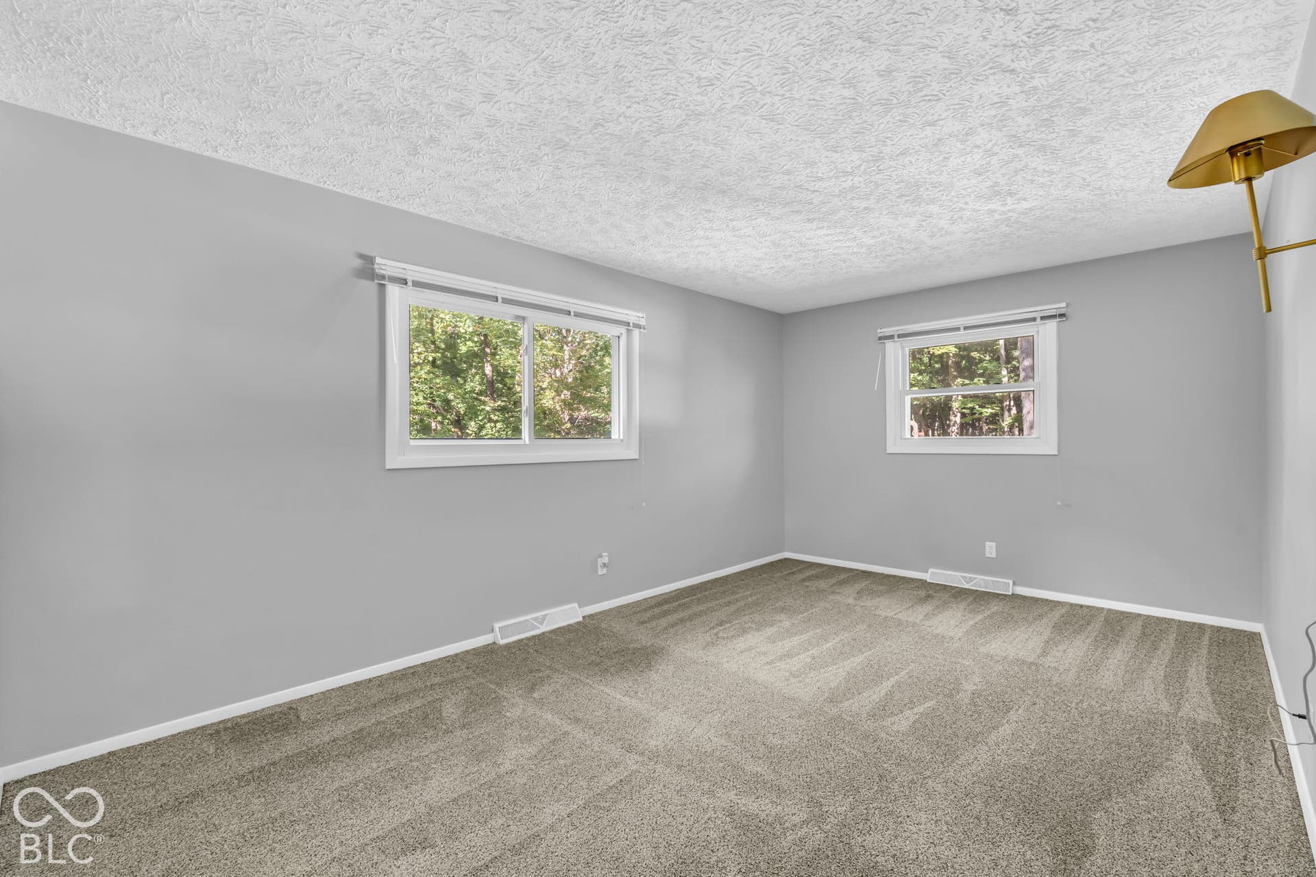 Carpeted interior with light gray walls, two windows, and a textured ceiling