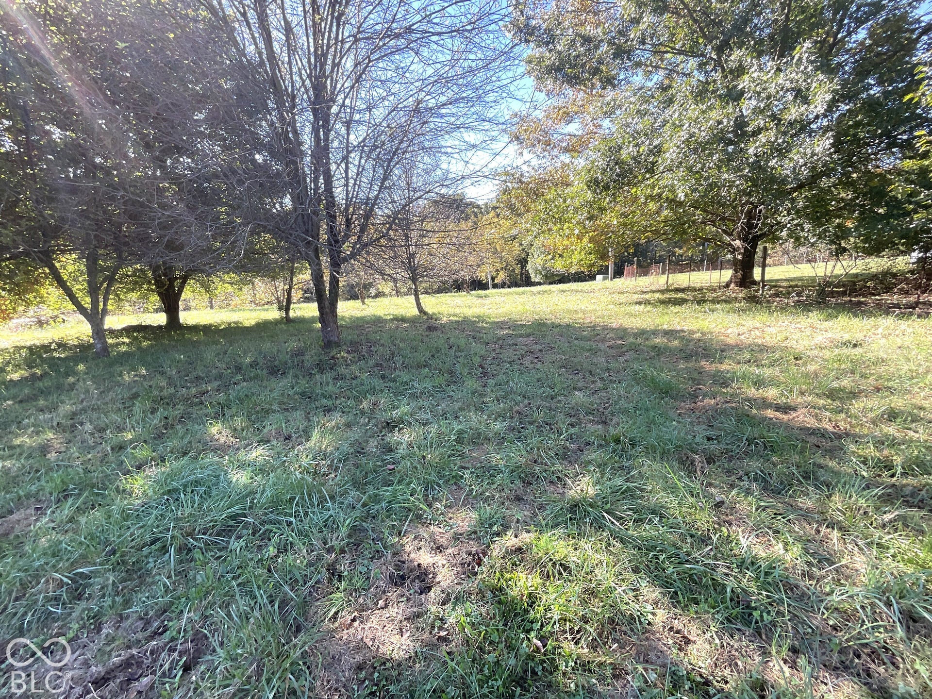 3333 Patricksburg Road, Spencer, IN 47460 Yard