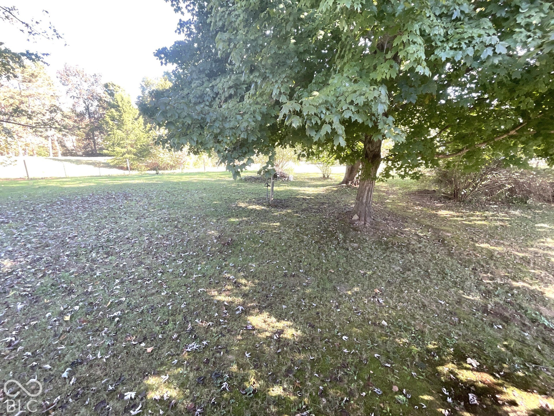 3333 Patricksburg Road, Spencer, IN 47460 Yard