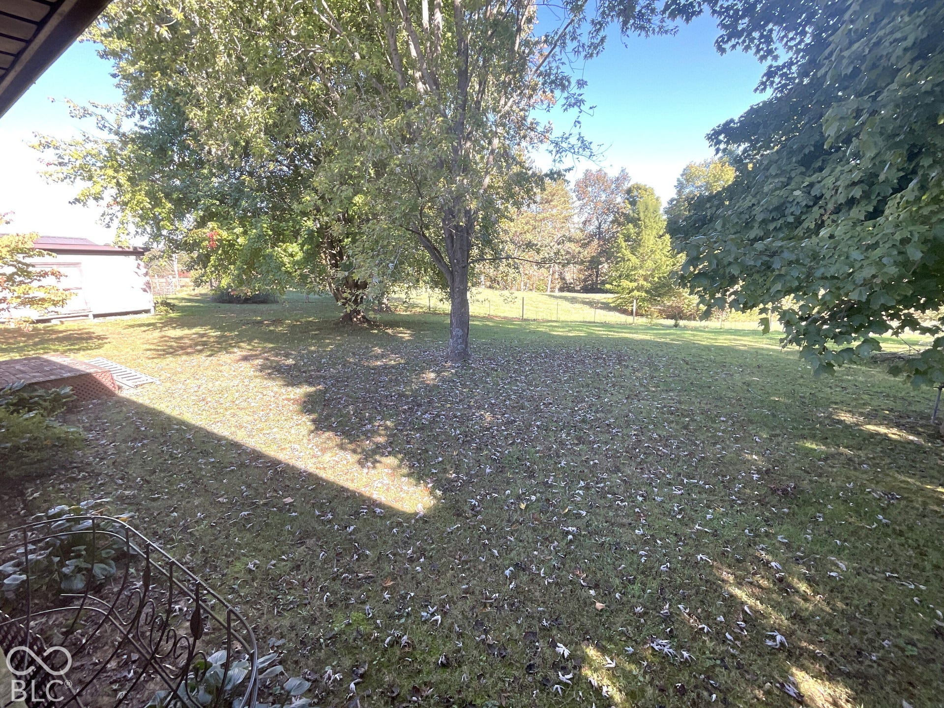 3333 Patricksburg Road, Spencer, IN 47460 Yard