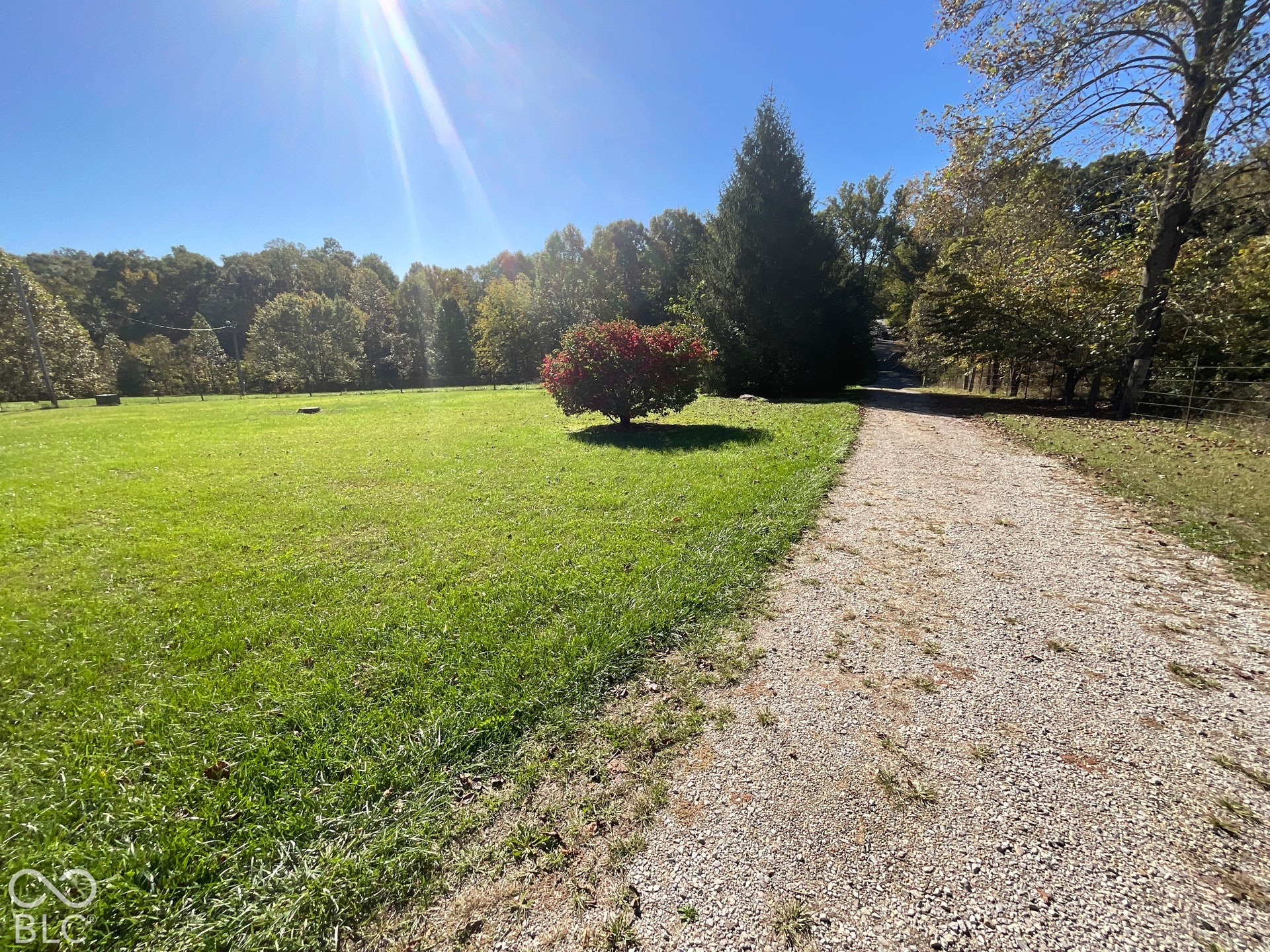 3333 Patricksburg Road, Spencer, IN 47460 Yard