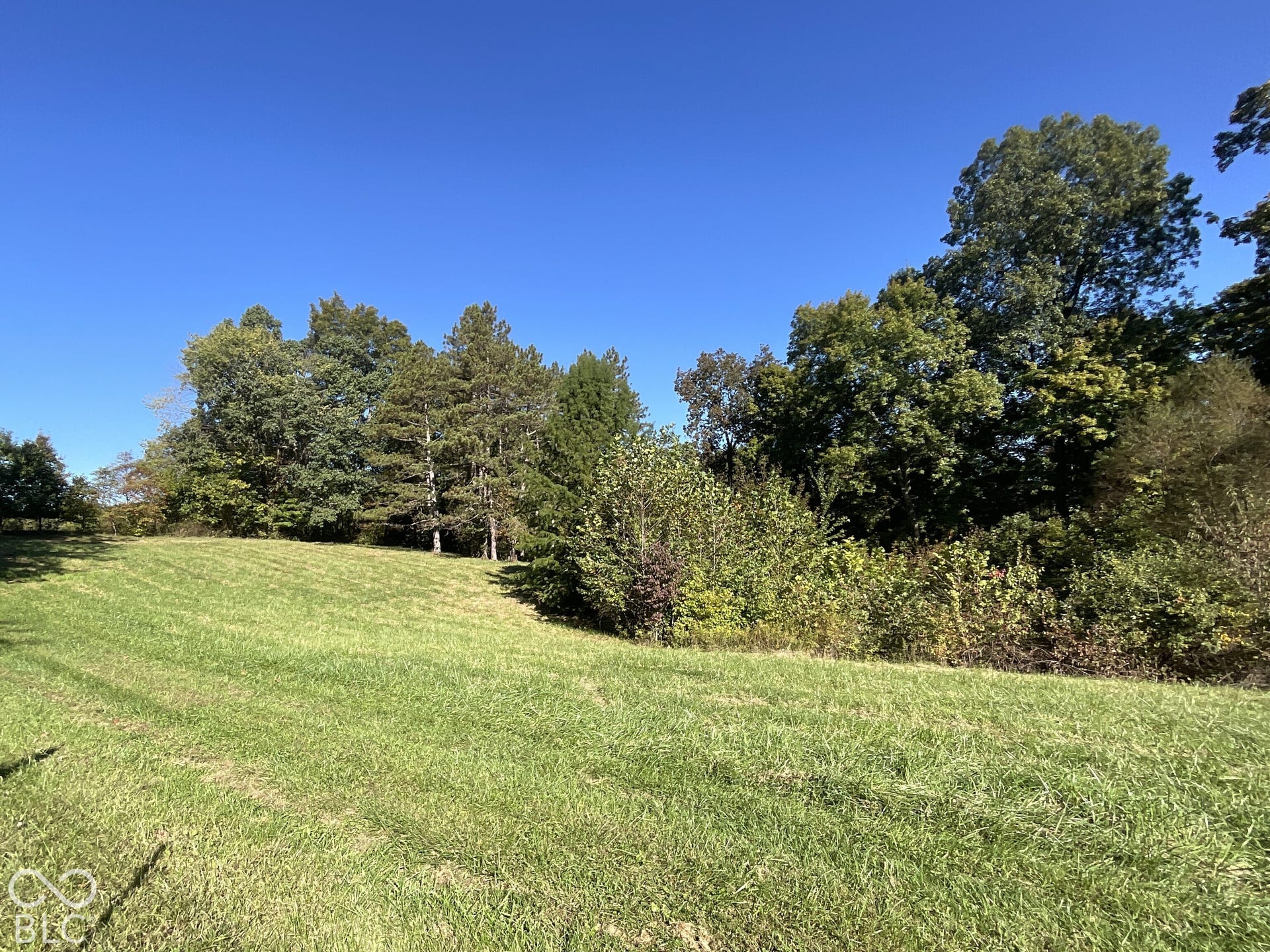 3333 Patricksburg Road, Spencer, IN 47460 Yard