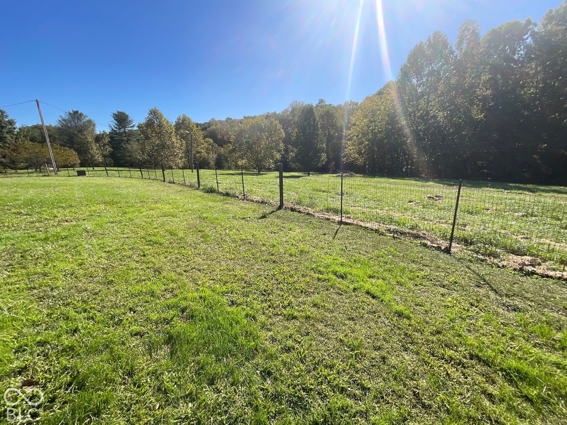 3333 Patricksburg Road, Spencer, IN 47460 Yard