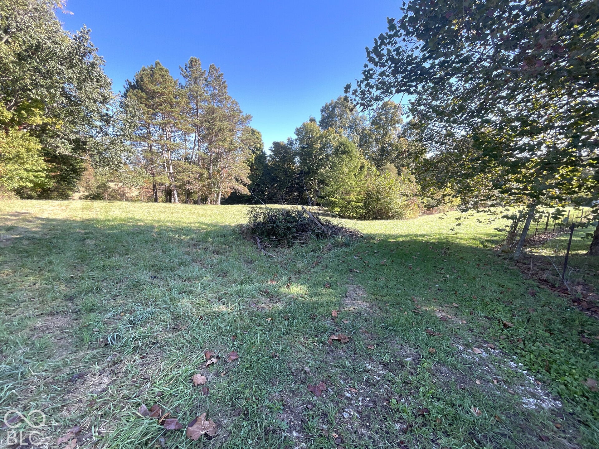 3333 Patricksburg Road, Spencer, IN 47460 Yard
