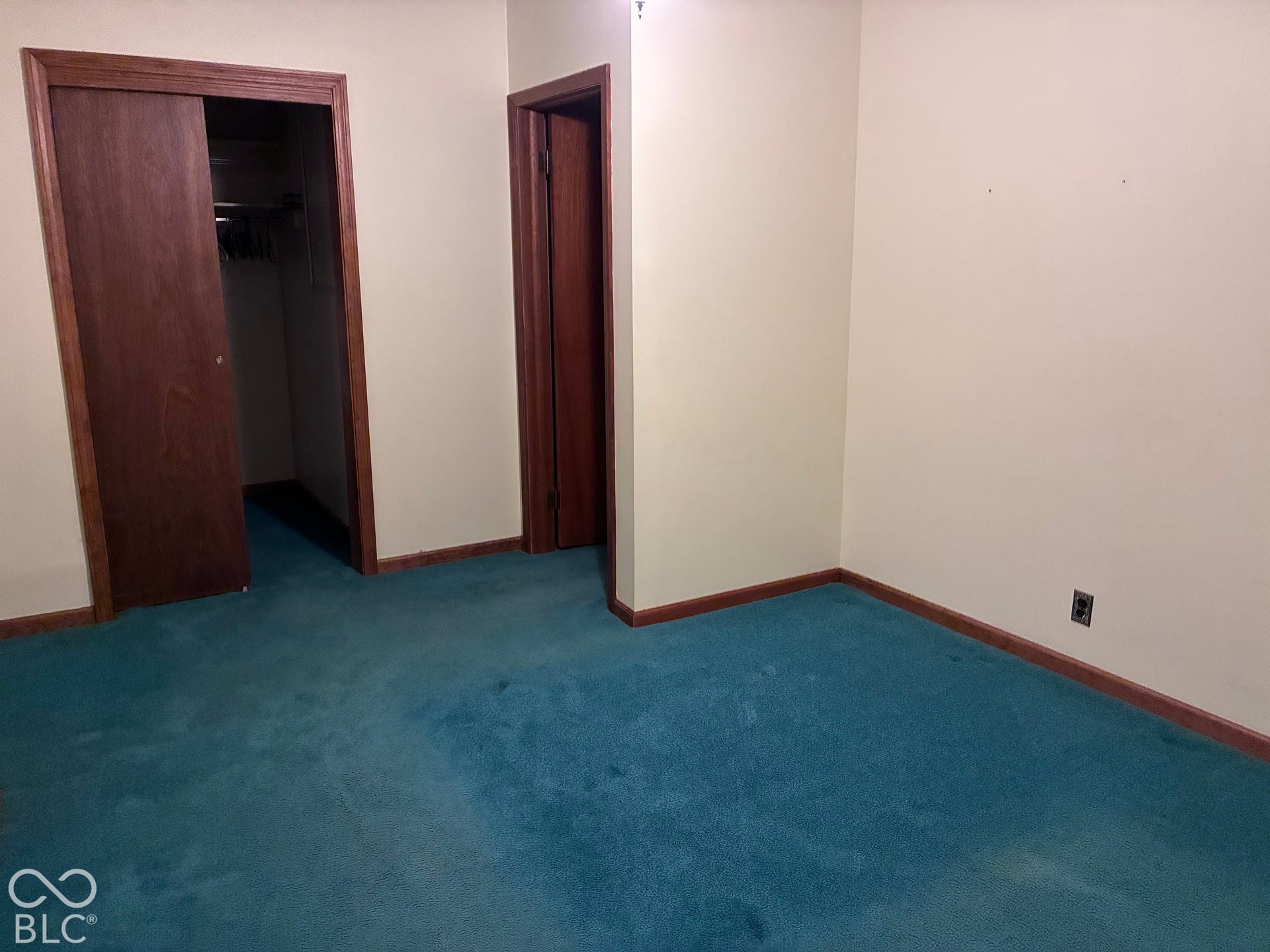 Light-toned wall finish, wood-trim baseboards, and teal carpeting