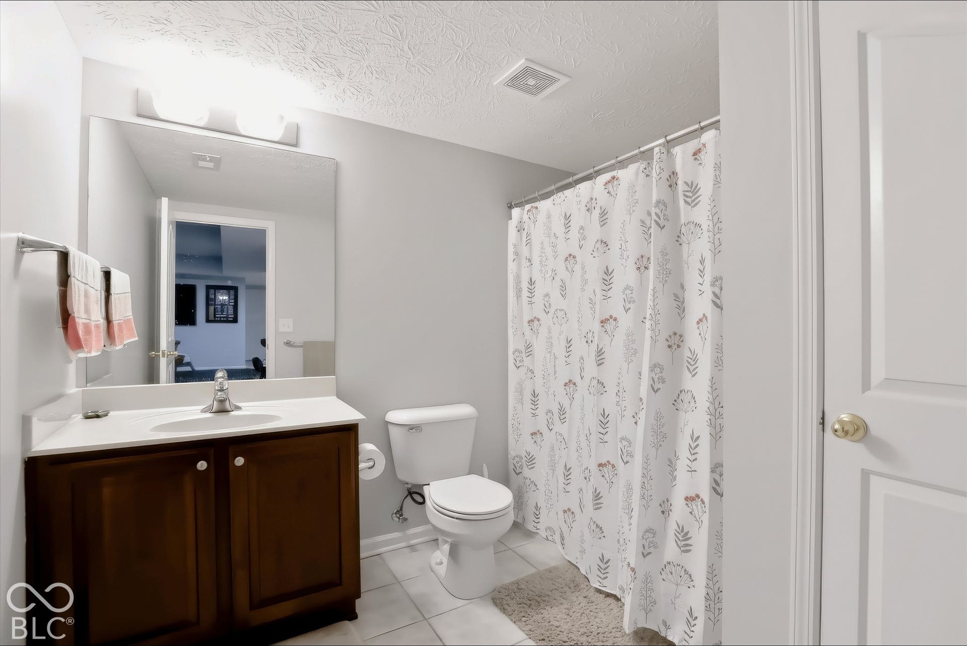 Full Bathroom in your Basement (#5 in the home)