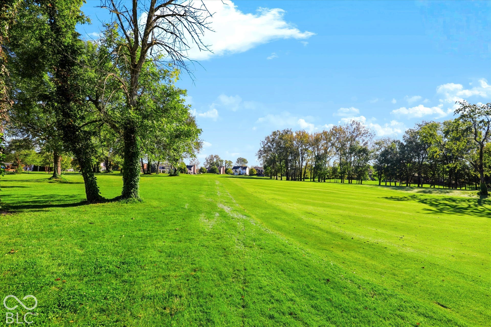 No neighbors behind you and a yard you don't have to maintain - this house sits on the 11th Hole at Gray Eagle Golf Course.