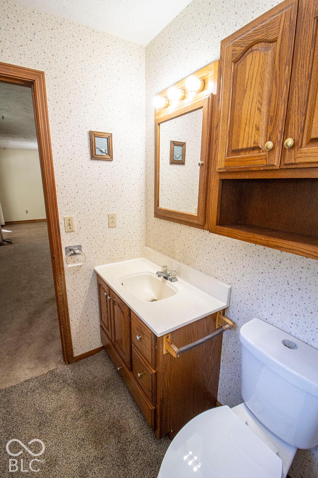 9015 E 256th, Arcadia, IN 46030 Bathroom