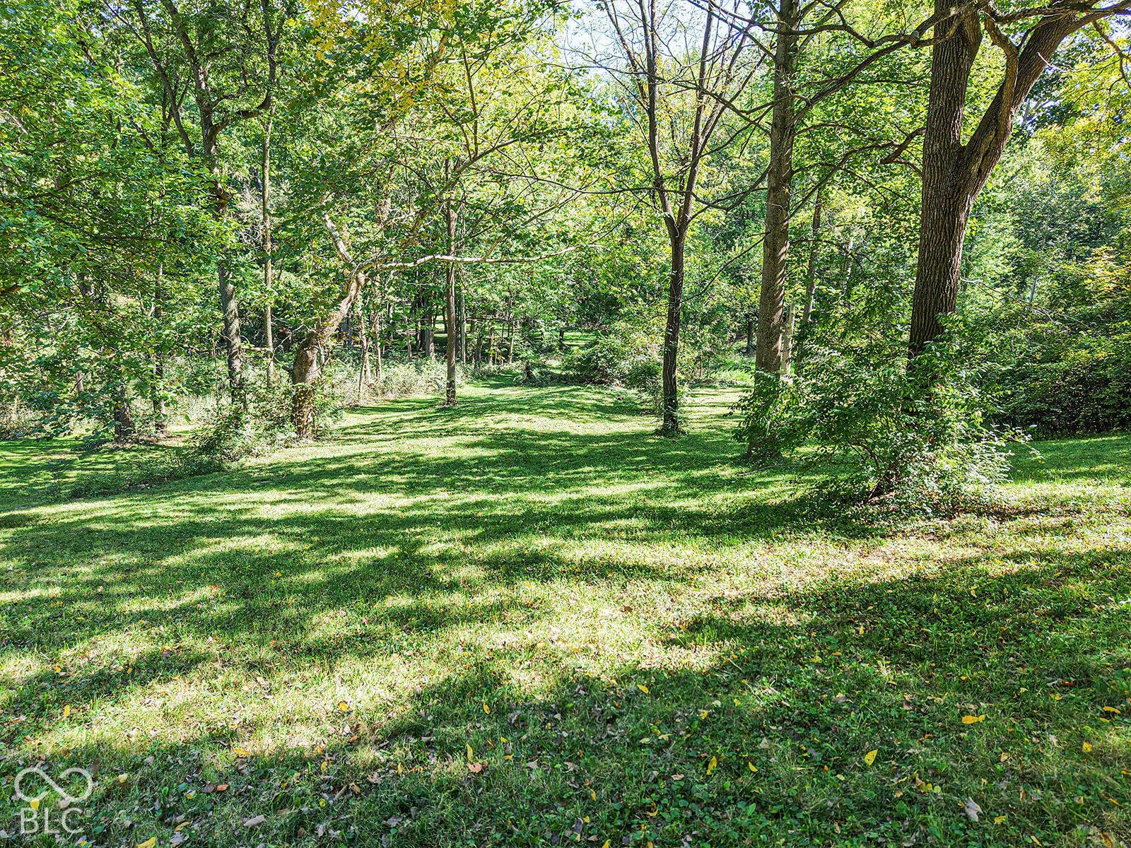 9015 E 256th, Arcadia, IN 46030 Yard