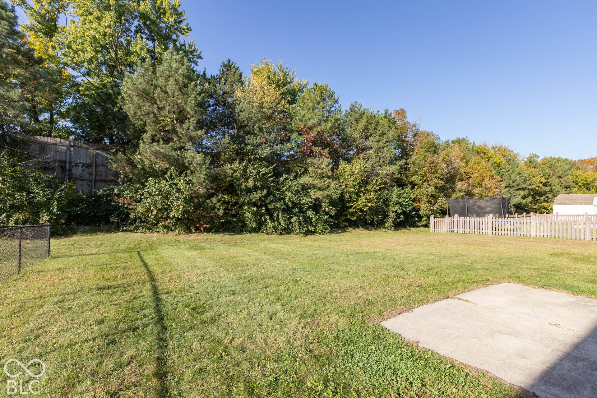 view of the tree lined back yard