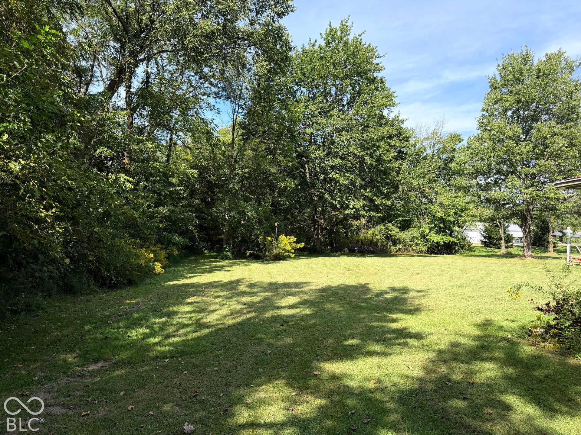 Expansive lawn area surrounded by mature trees
