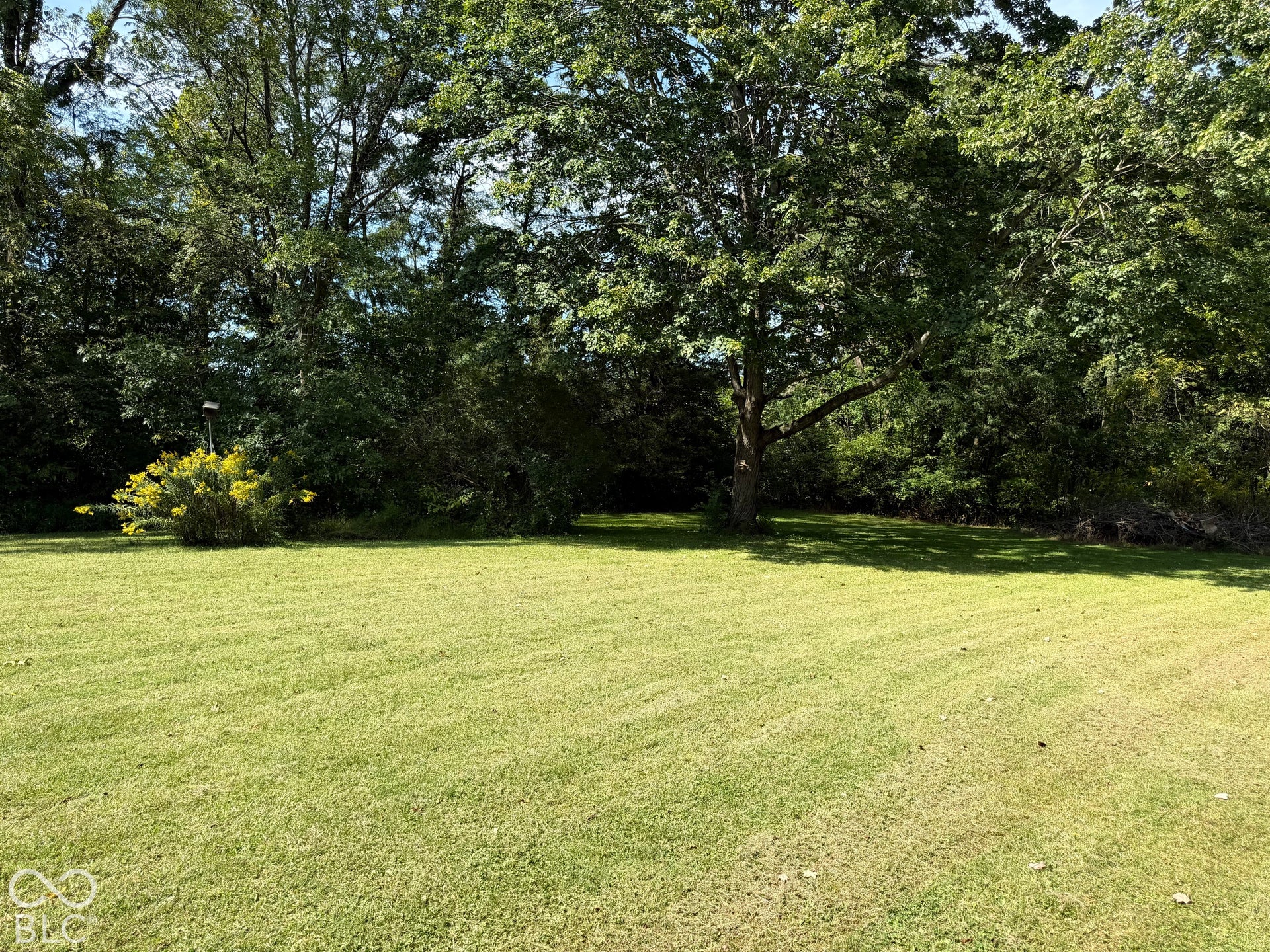 Expansive lawn area with mature trees and natural landscaping