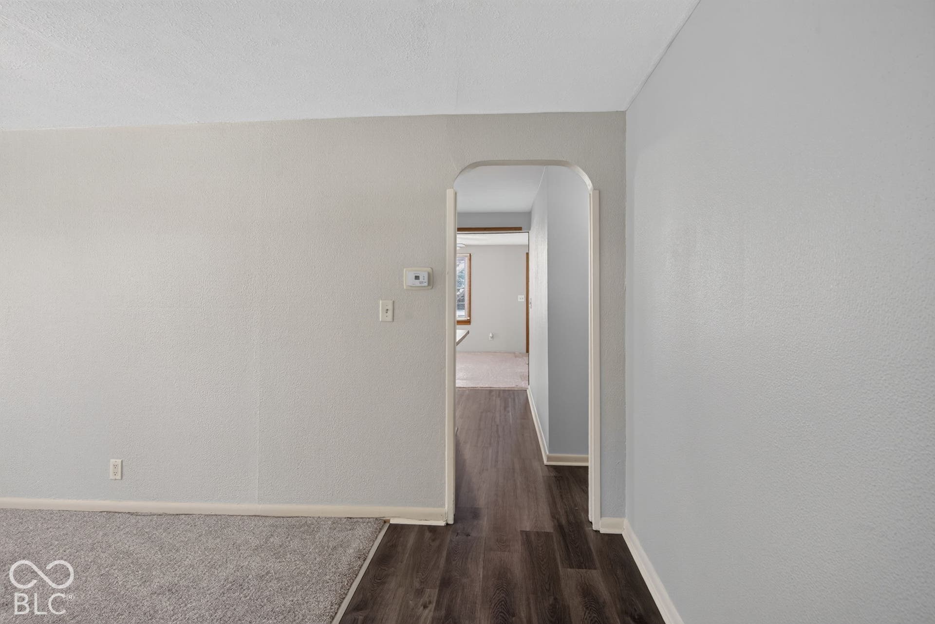 Arched entryway leading to wood-finish flooring
