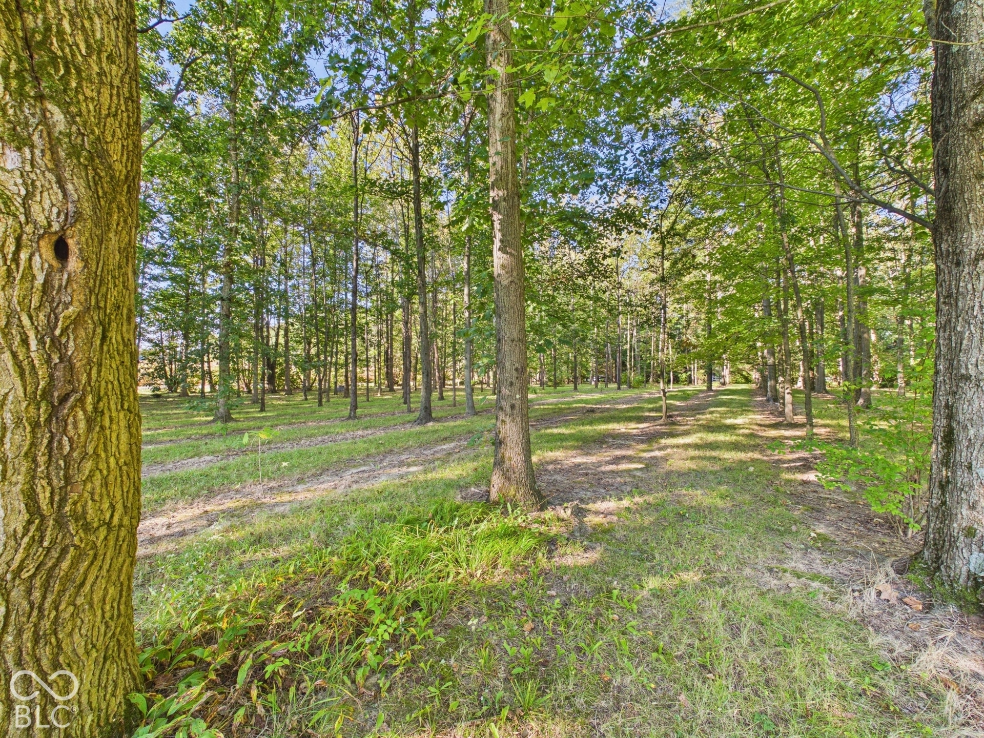 3566 E County Road 500 S, Middletown, IN 47356