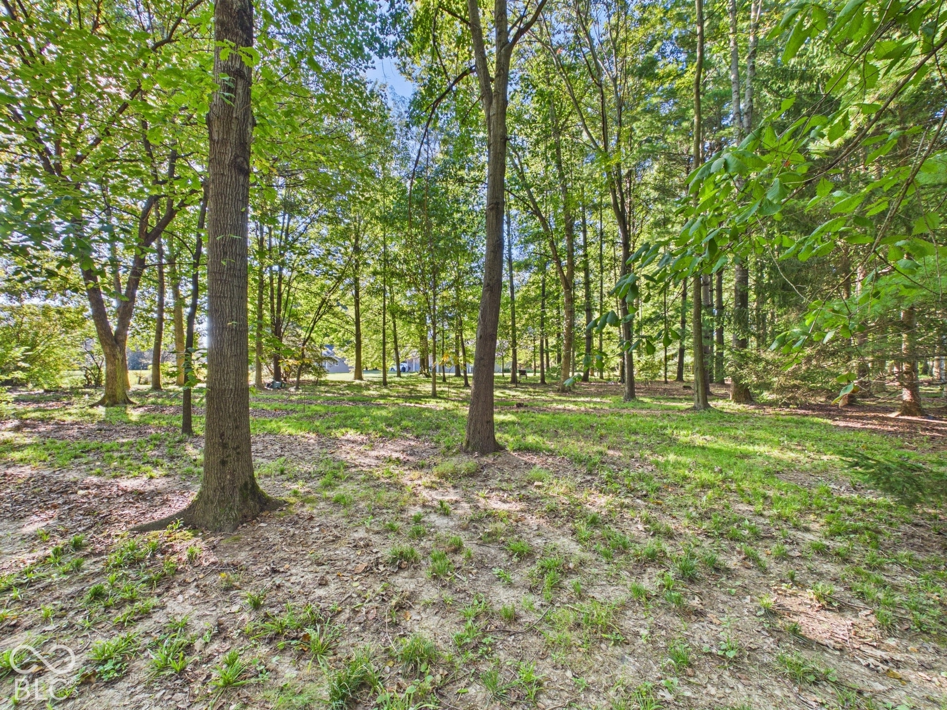 3566 E County Road 500 S, Middletown, IN 47356