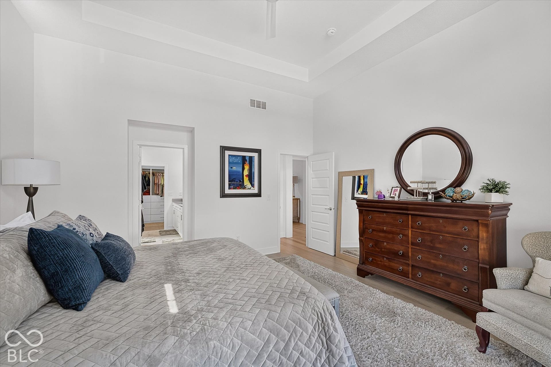 1405 Lake Haven Lane, Westfield, IN 46074 Tray ceiling, light wood-finish flooring, white paneled doors, and an open doorway to a walk-in closet with built-in shelving