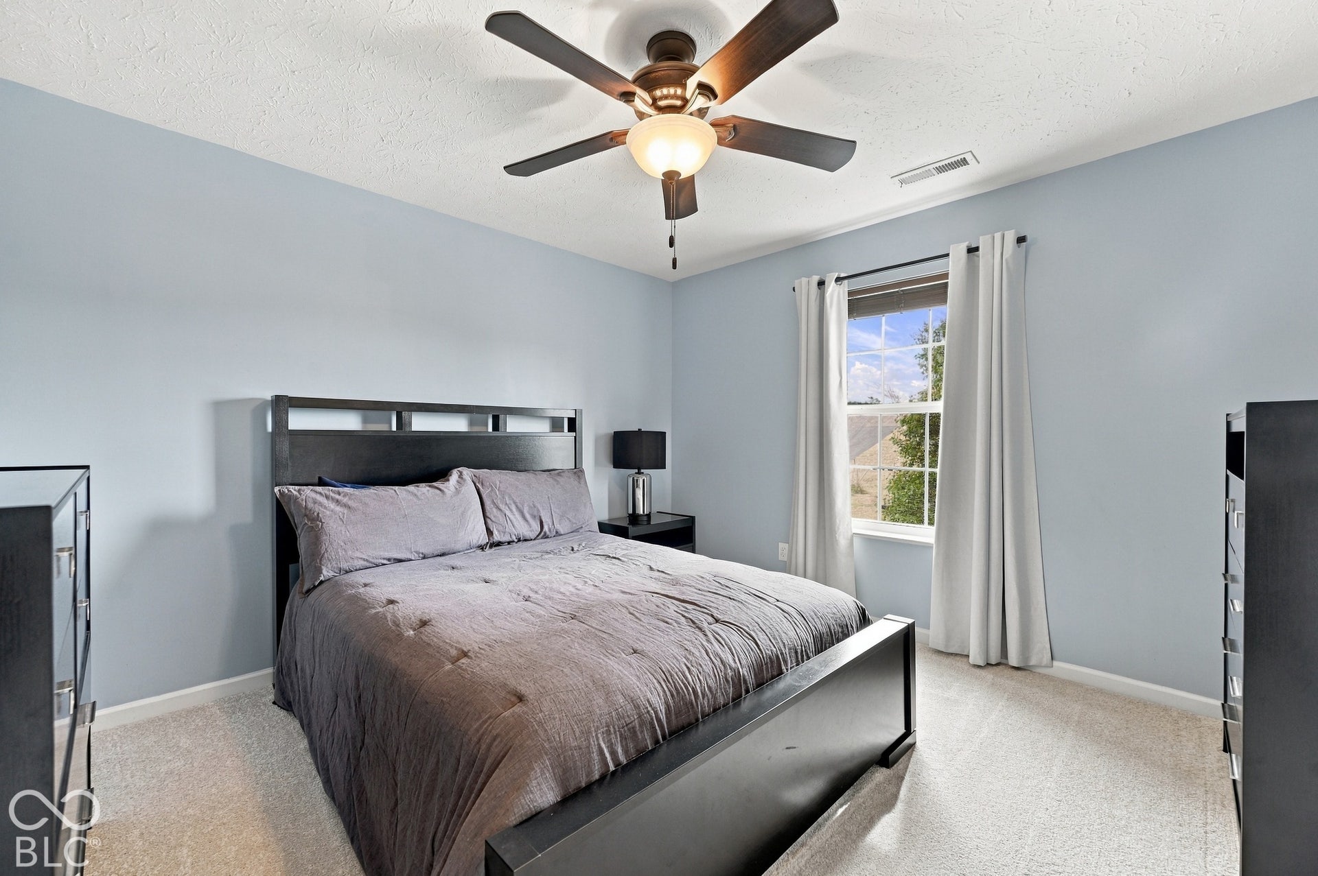 Carpeted room with a ceiling fan, a window, and light blue wall tones