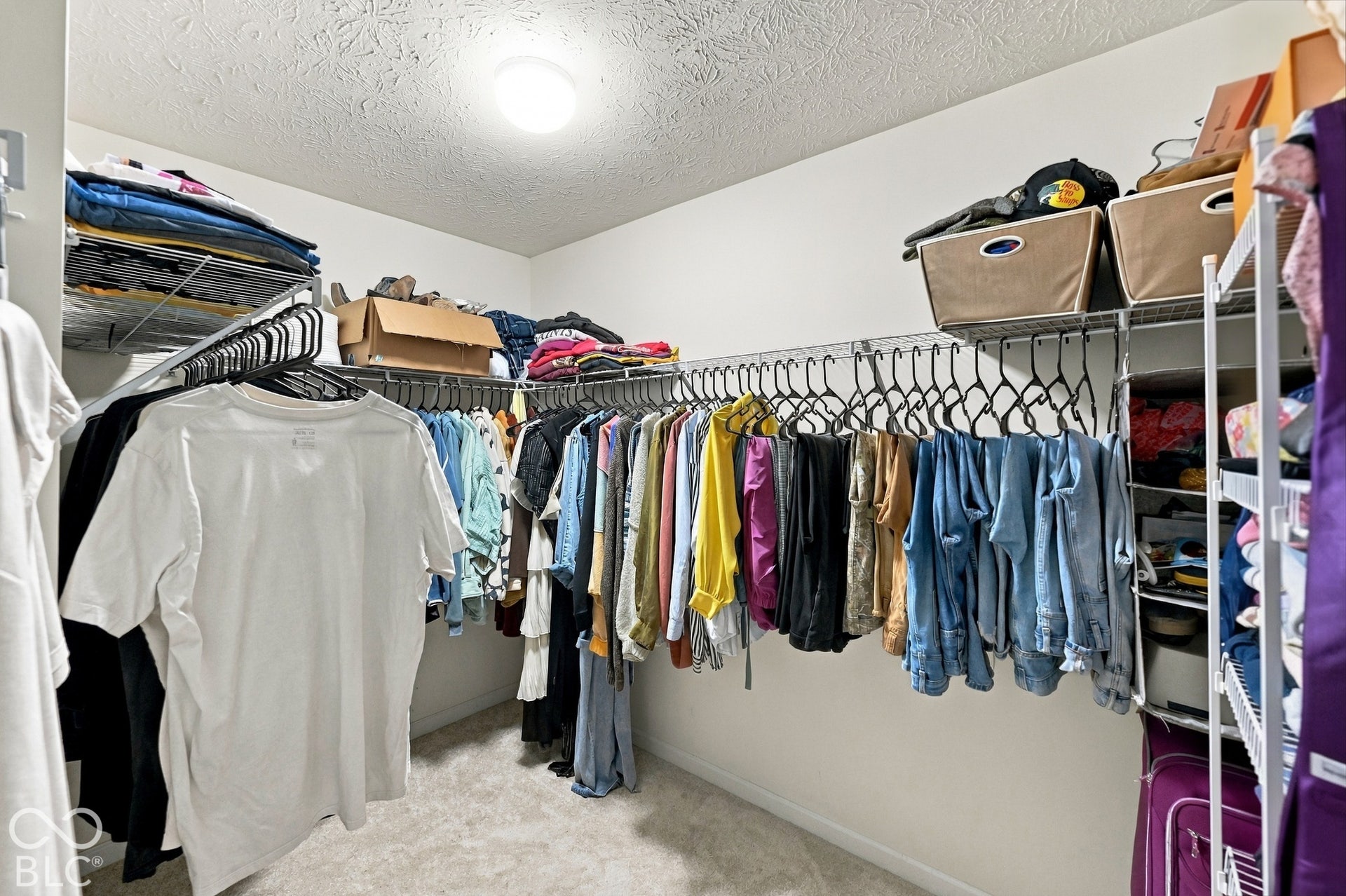 Wall-to-wall carpeting and overhead lighting
