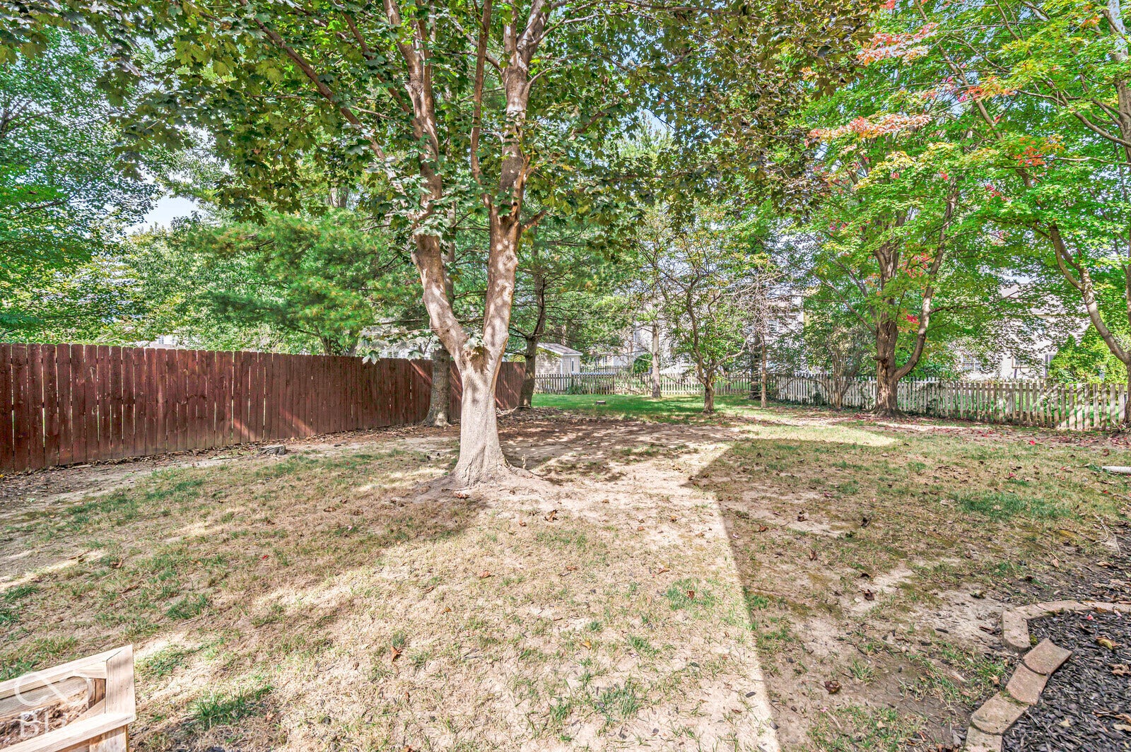 Expansive backyard featuring a mature tree, wood privacy fencing, and additional perimeter fencing