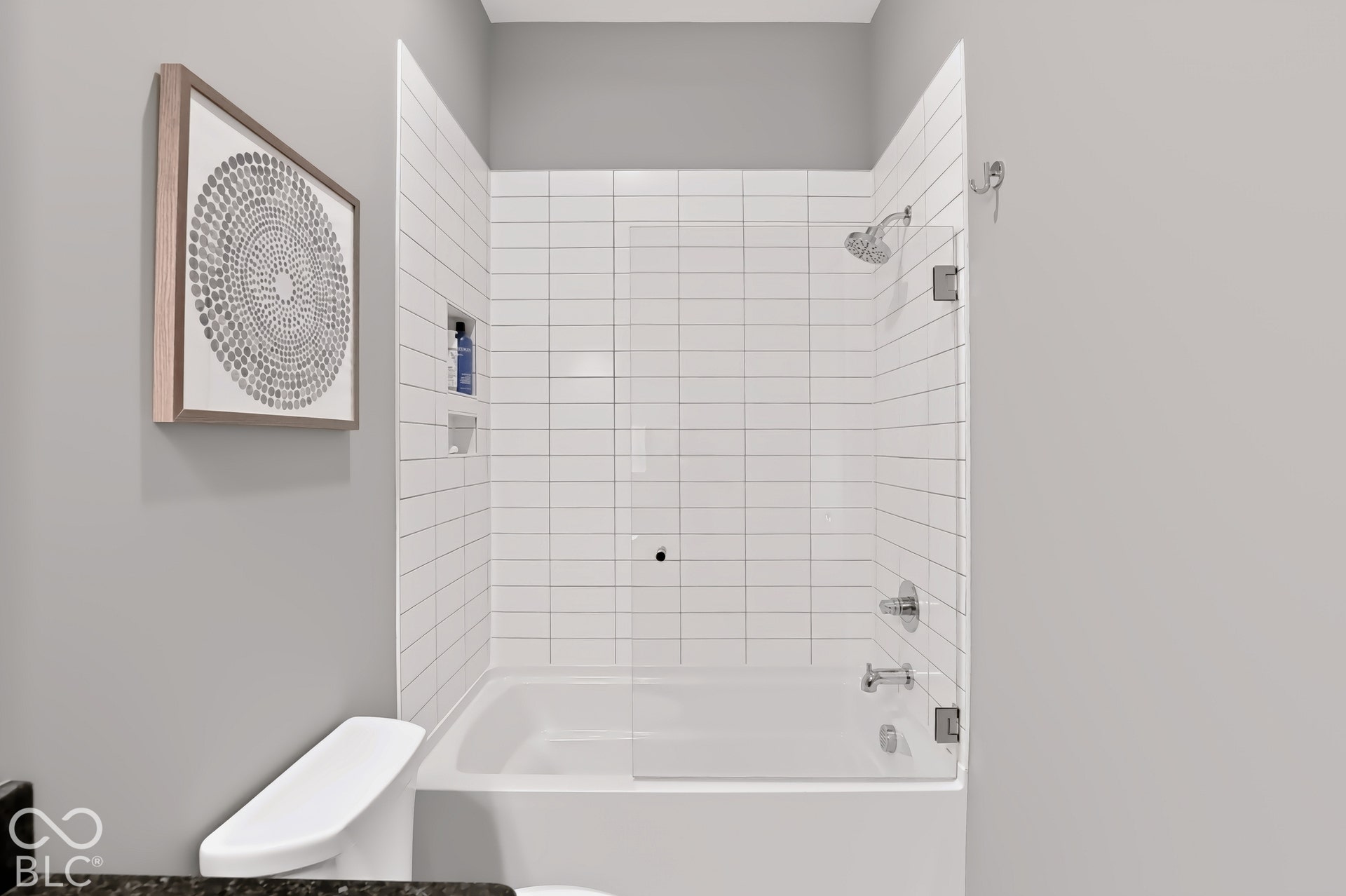 3685 Olde Well Run, Zionsville, IN 46077