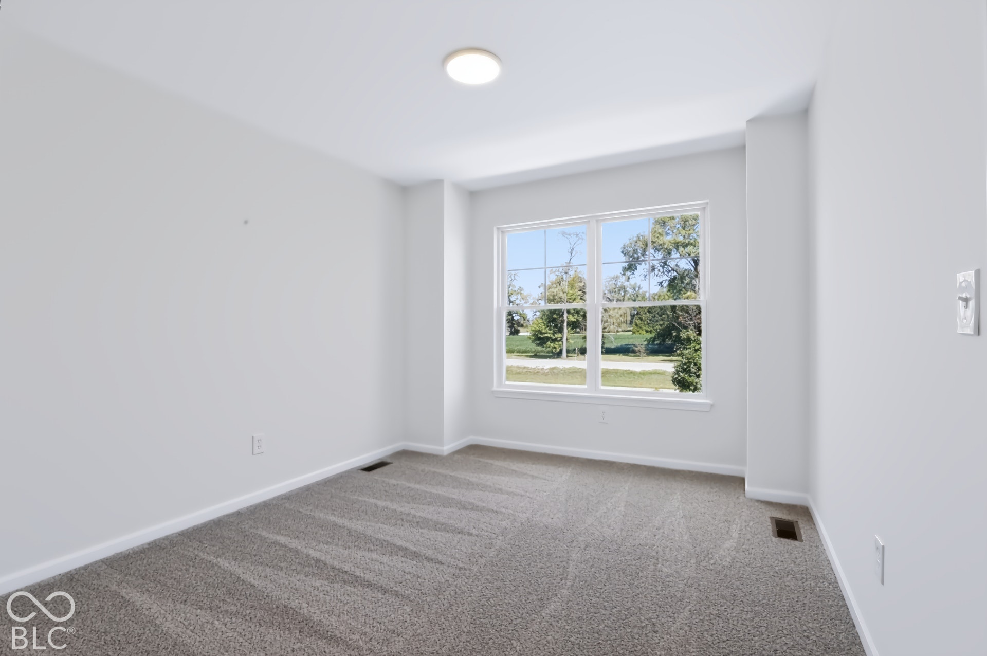 Neutral wall color, carpeted flooring, large window with natural light, and a ceiling-mounted light fixture