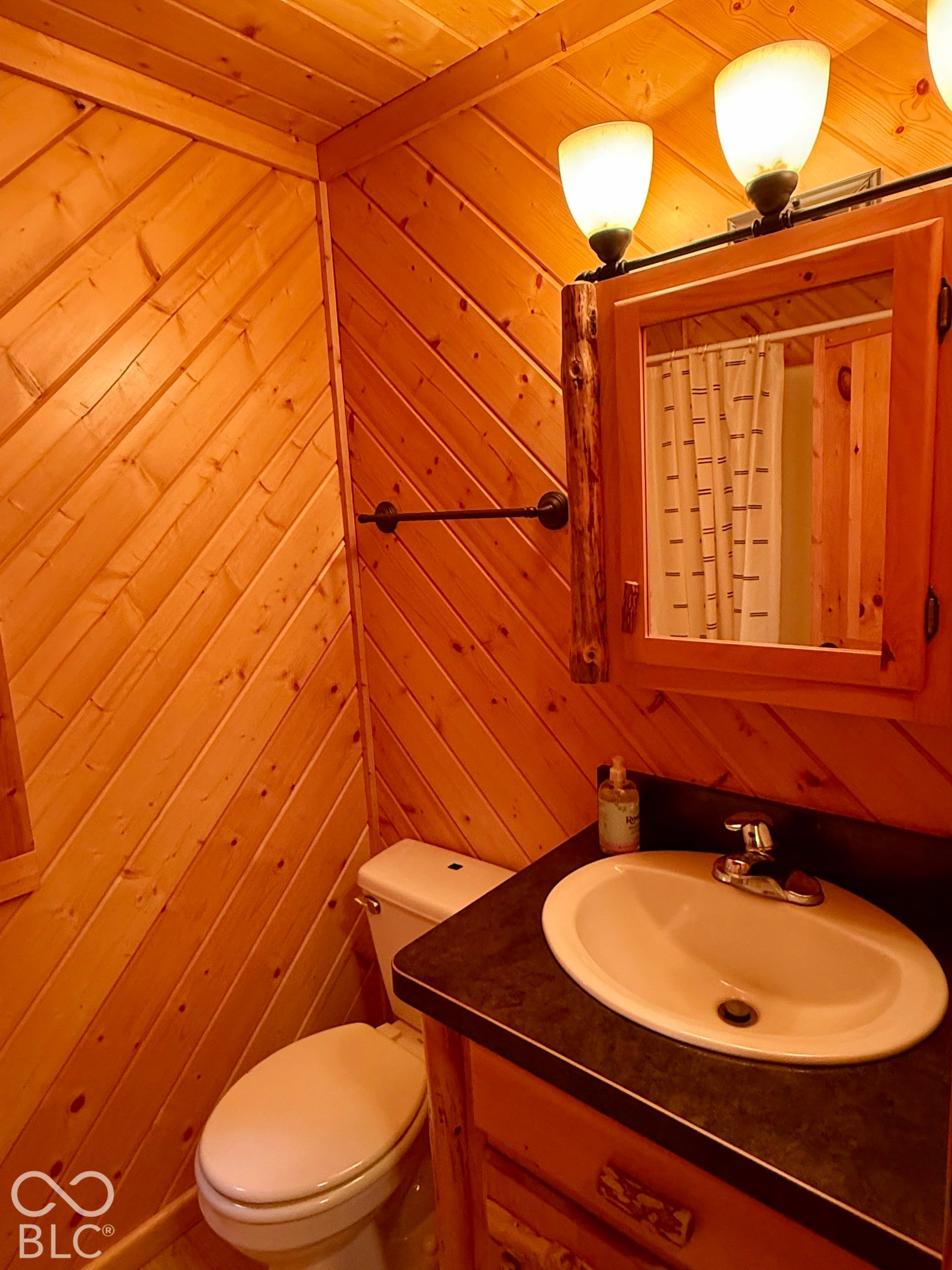 Cabin bathroom