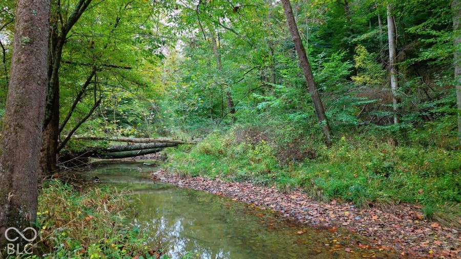 Property photo for XX Rinnie Seitz Road, Nashville, IN