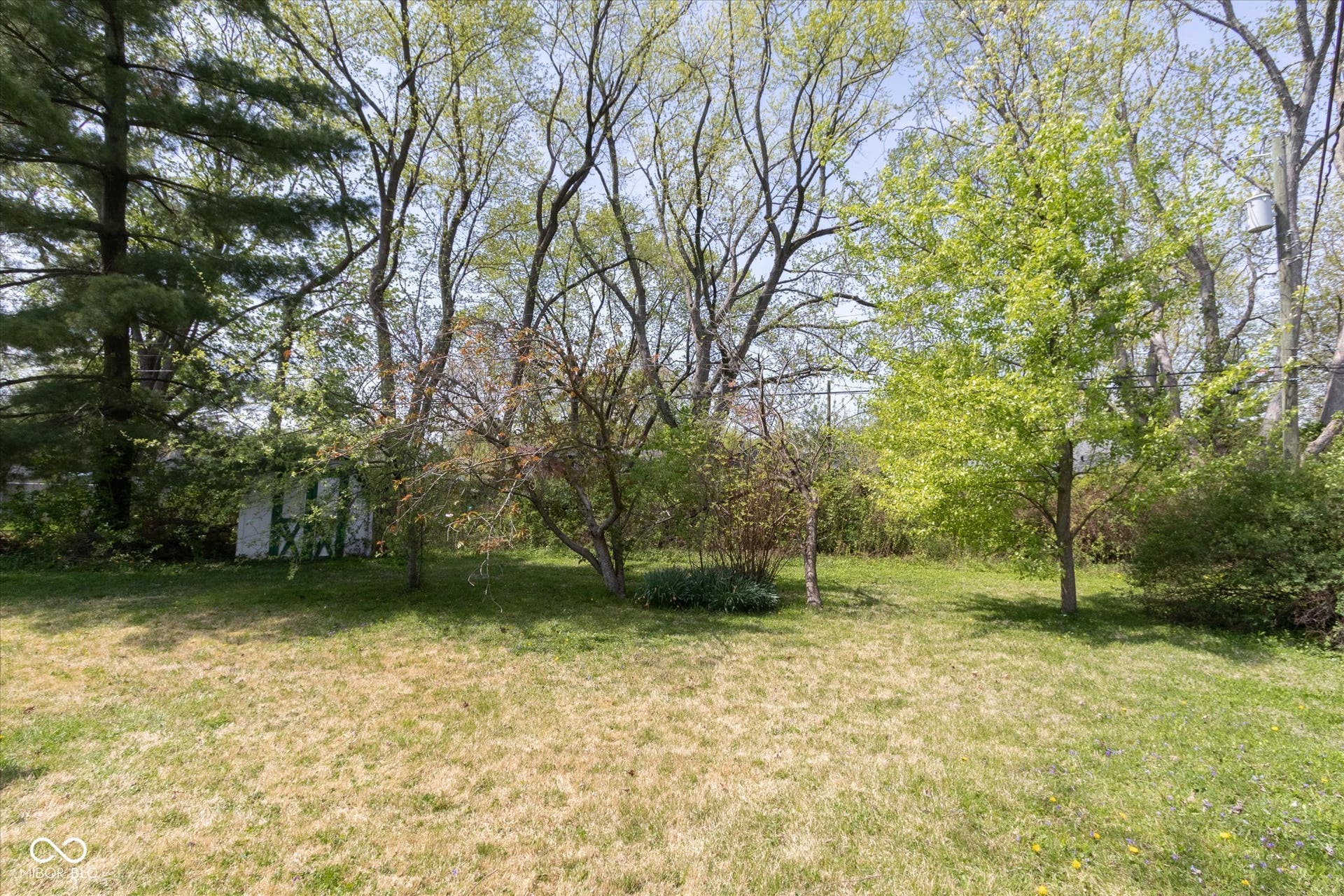 Back yard