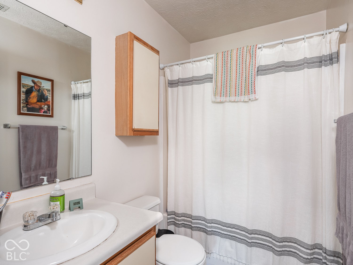 232 Park Place Court, Avon, IN 46123