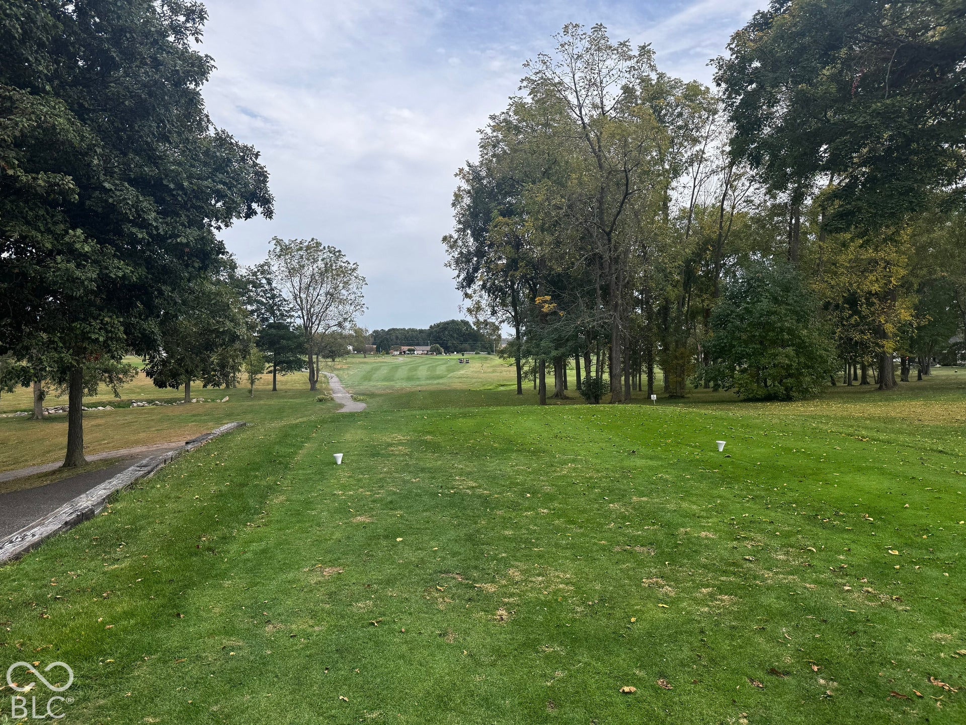 5976 E Holes Crossing Drive, Crawfordsville, IN 47933 TEE BOX FOR HOLE #4