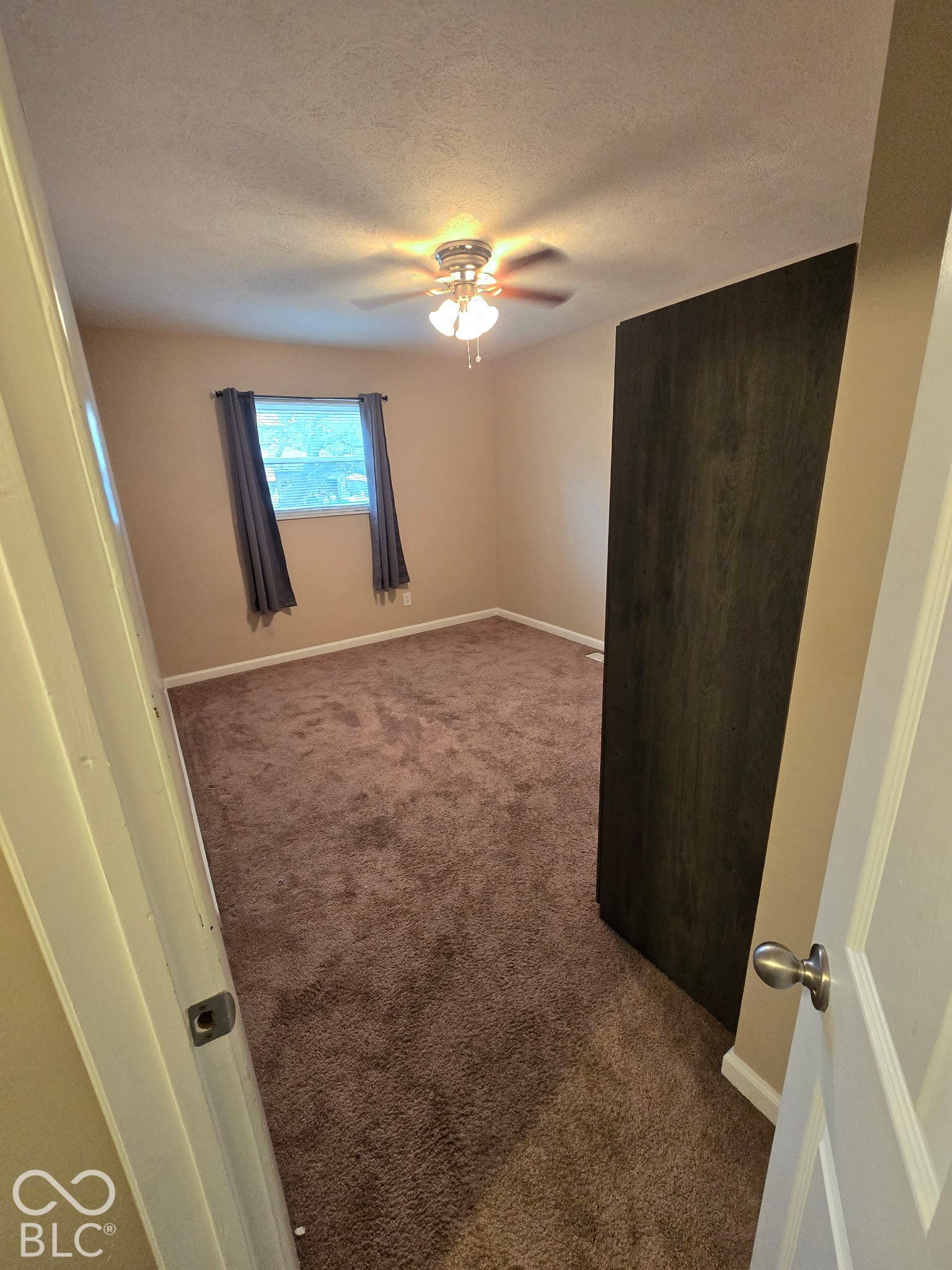 Carpeted flooring, ceiling fan, window with curtain rod, and light-toned wall paint