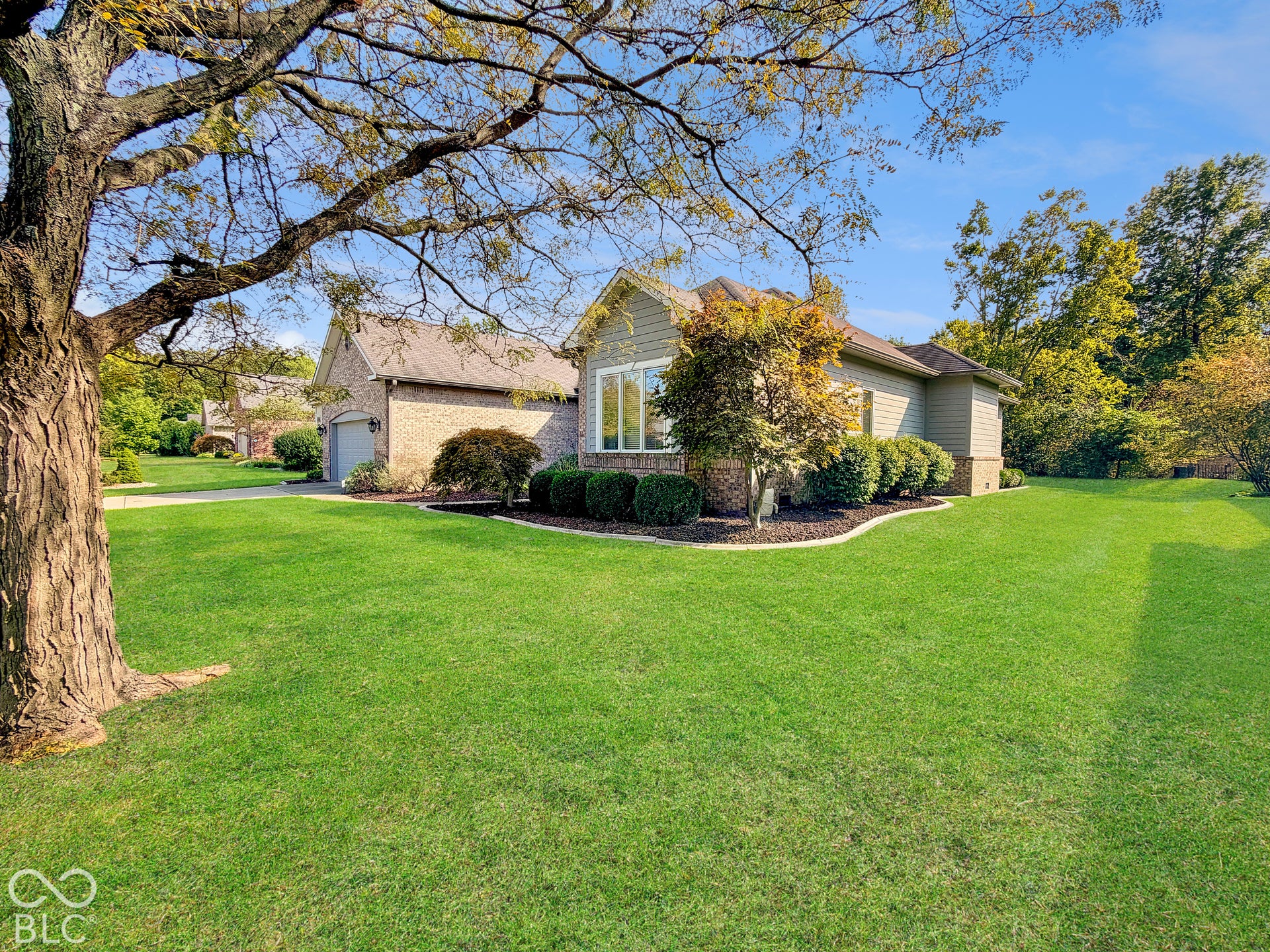 Side yard with mature landscaping