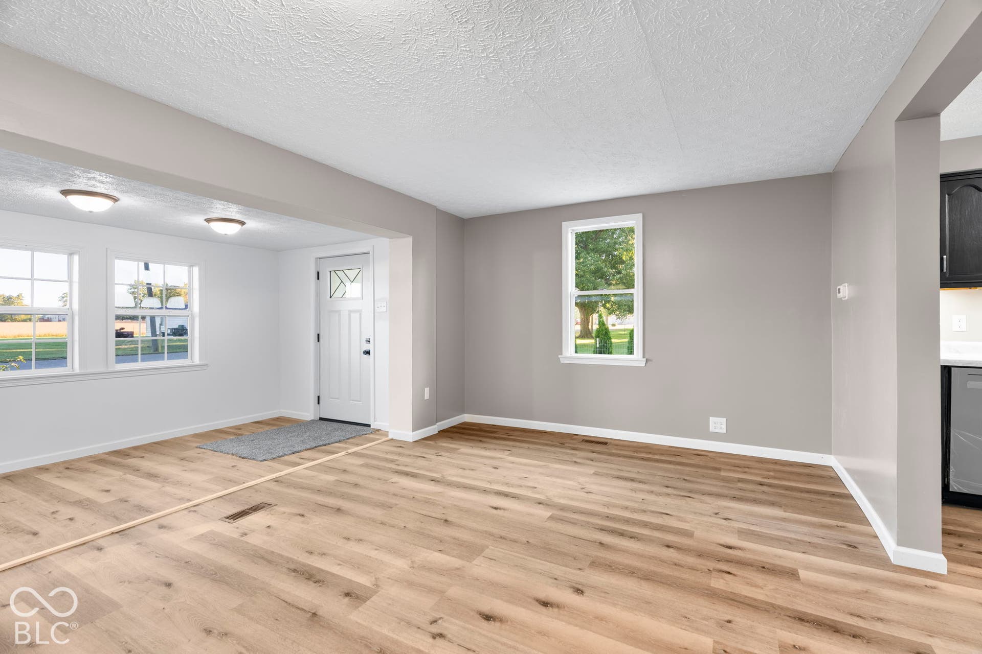 Light wood-finish flooring, white trim, and neutral wall tones