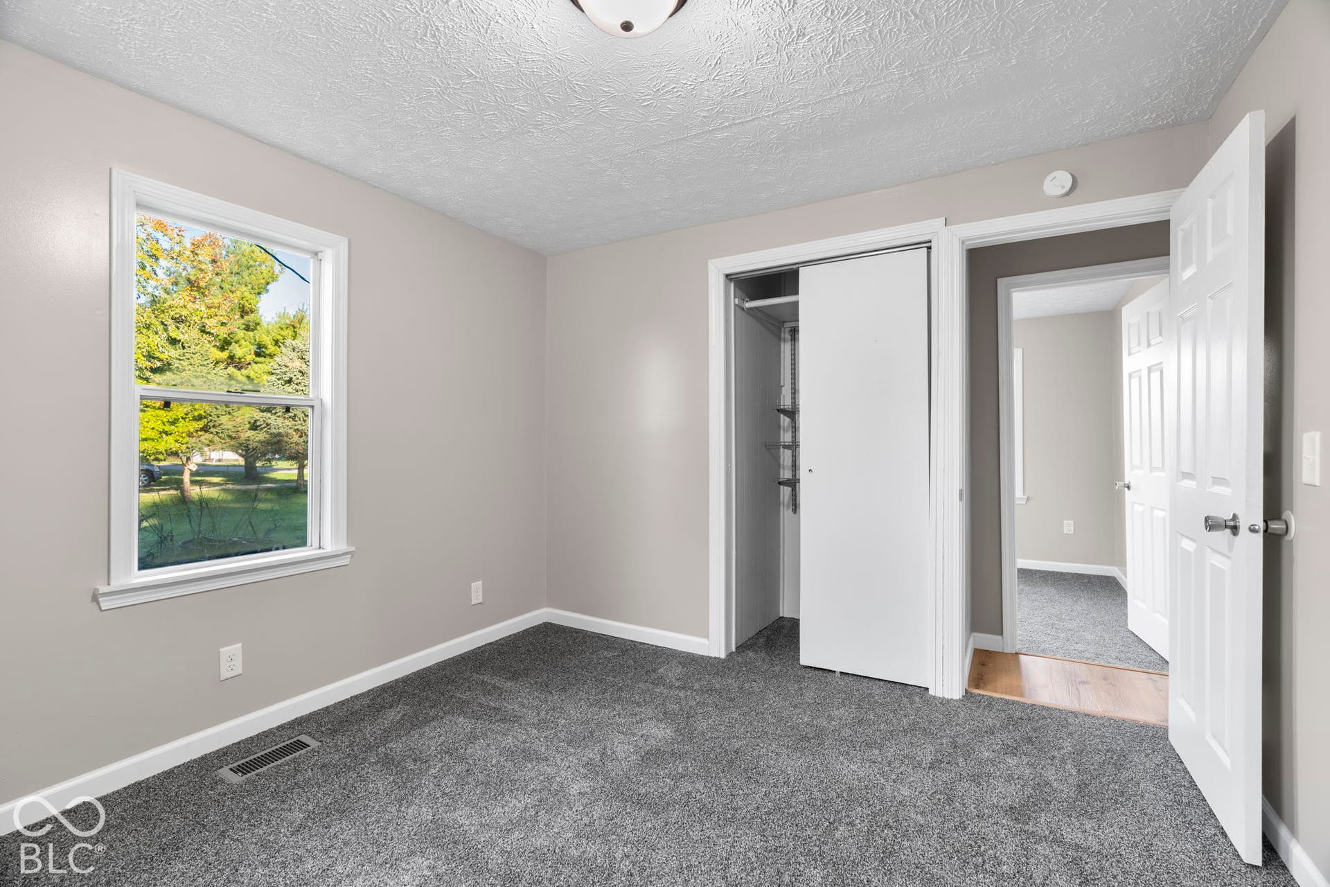 Plush carpeting, neutral wall paint, white trim, and a window with natural light
