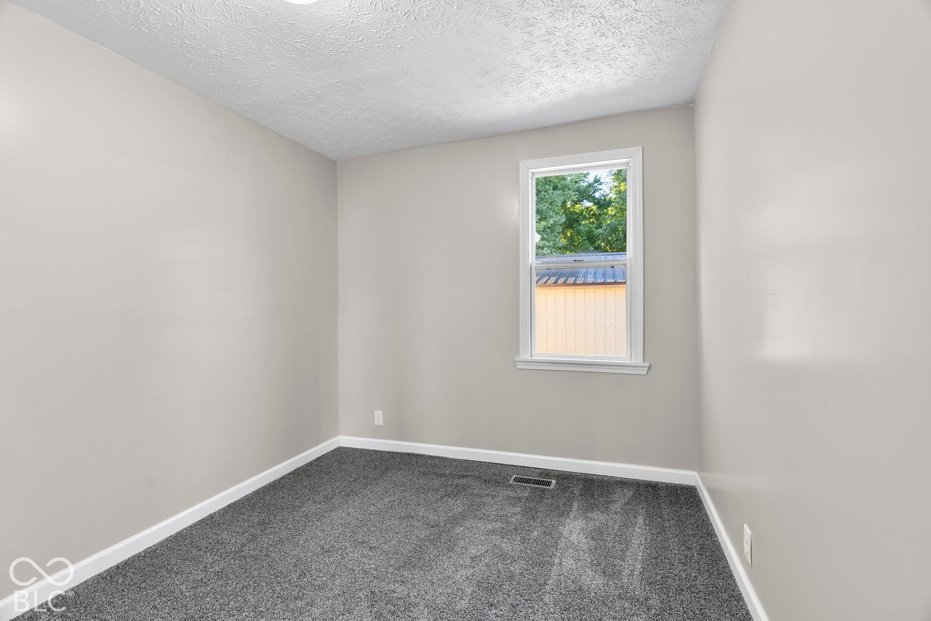 Neutral-toned walls, textured ceiling, single window with white trim, gray carpet, and a light fixture