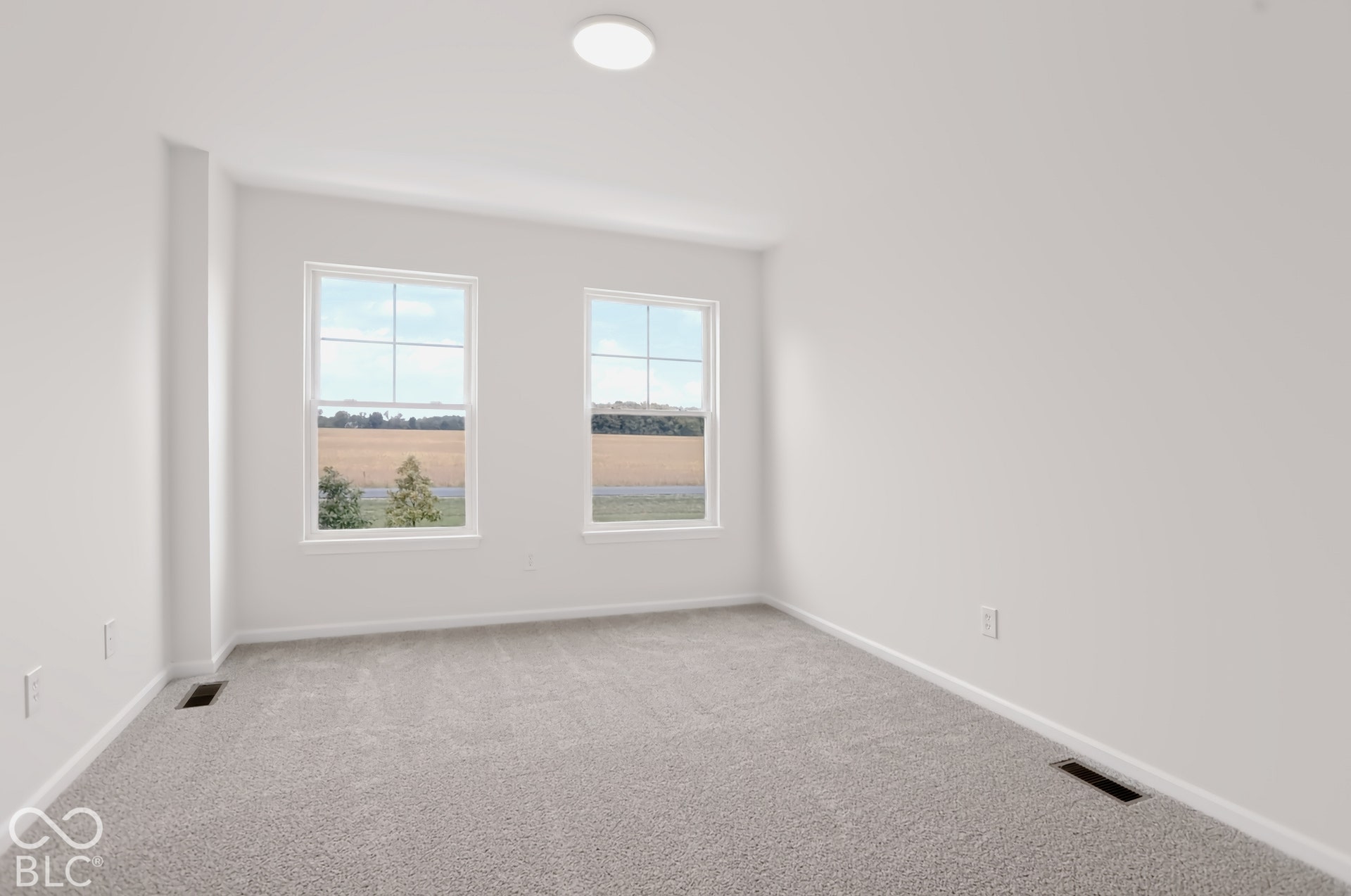 Light gray wall-to-wall carpeting, white painted walls, and two large windows with white trim