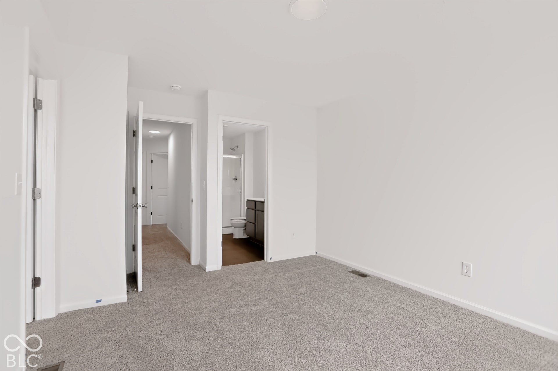 Plush gray carpeting, white painted walls, and a built-in ceiling light fixture