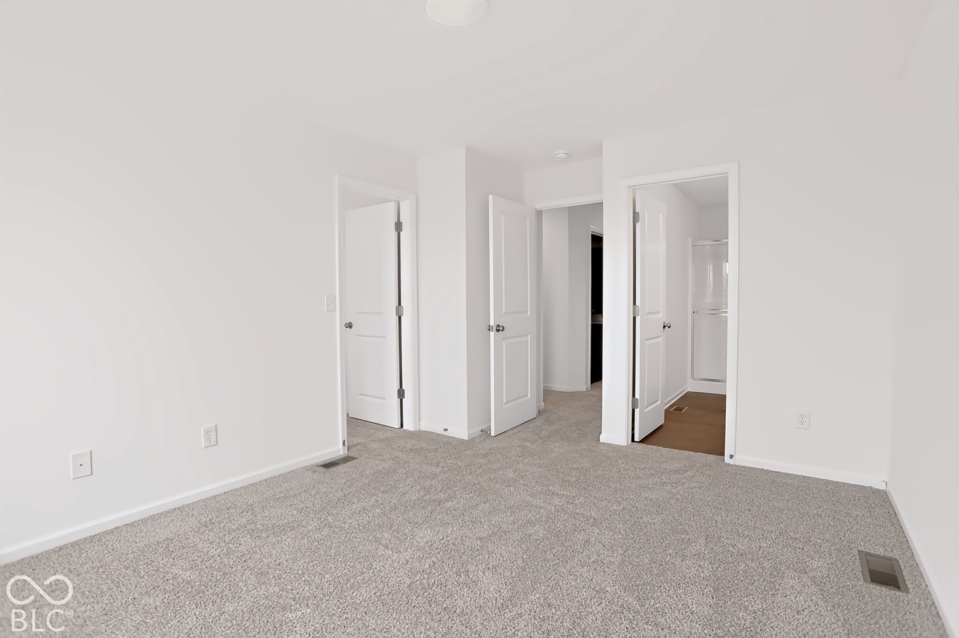Plush gray carpeting throughout, crisp white walls, multiple interior doors, and a ceiling-mounted light fixture